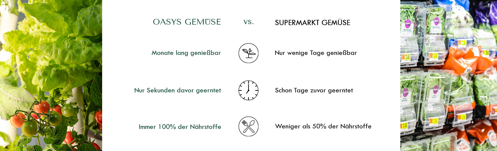 Vergleich OASYS vs Supermarkt