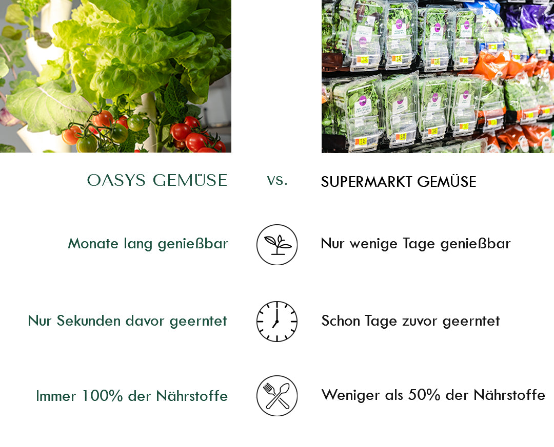 Vergleich OASYS vs Supermarkt